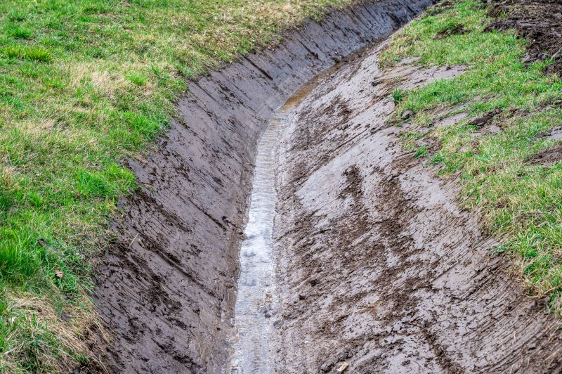 Ditch Landscaping